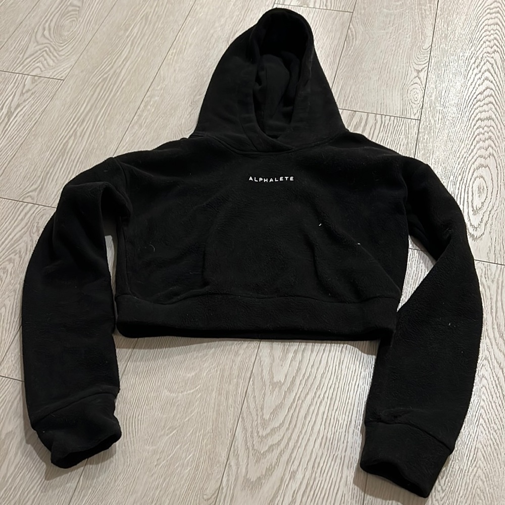 Alphalete Crop Hoodie